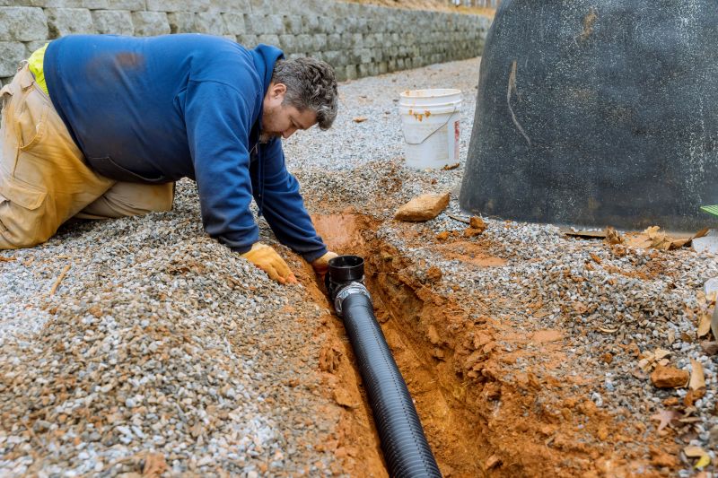 Sewer Line Tree Root Removal