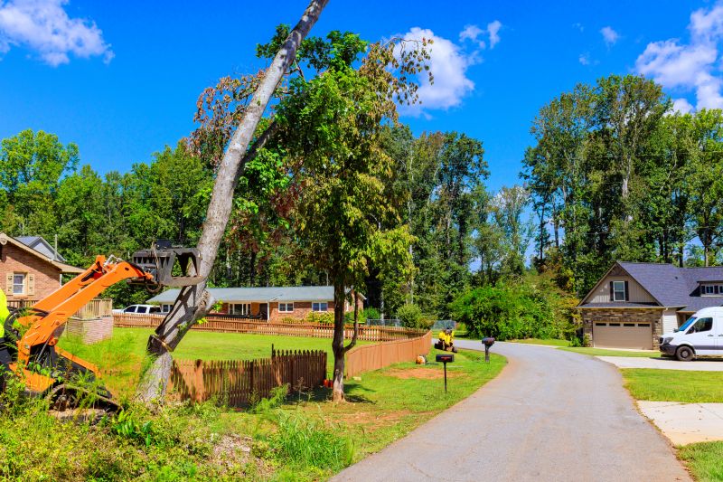 Sewer Line Tree Root Removal