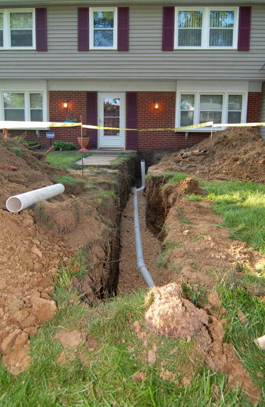 Sewer Line Tree Root Removal