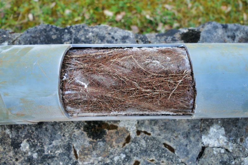 Sewer Line Tree Root Removal