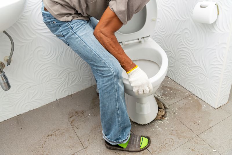 Toilet Wax Ring Installation in Denver, CO